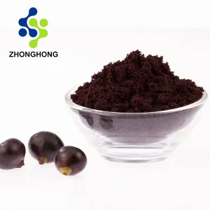 Acai Berry Extract Powder