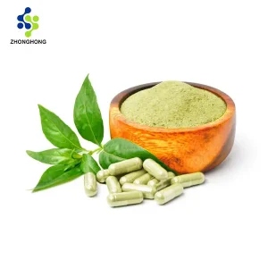 Andrographis Paniculata Extract