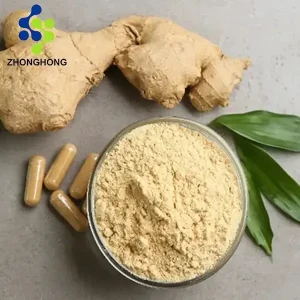Ginger Extract