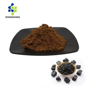 Shilajit Extract