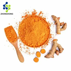 Turmeric Curcuminoids