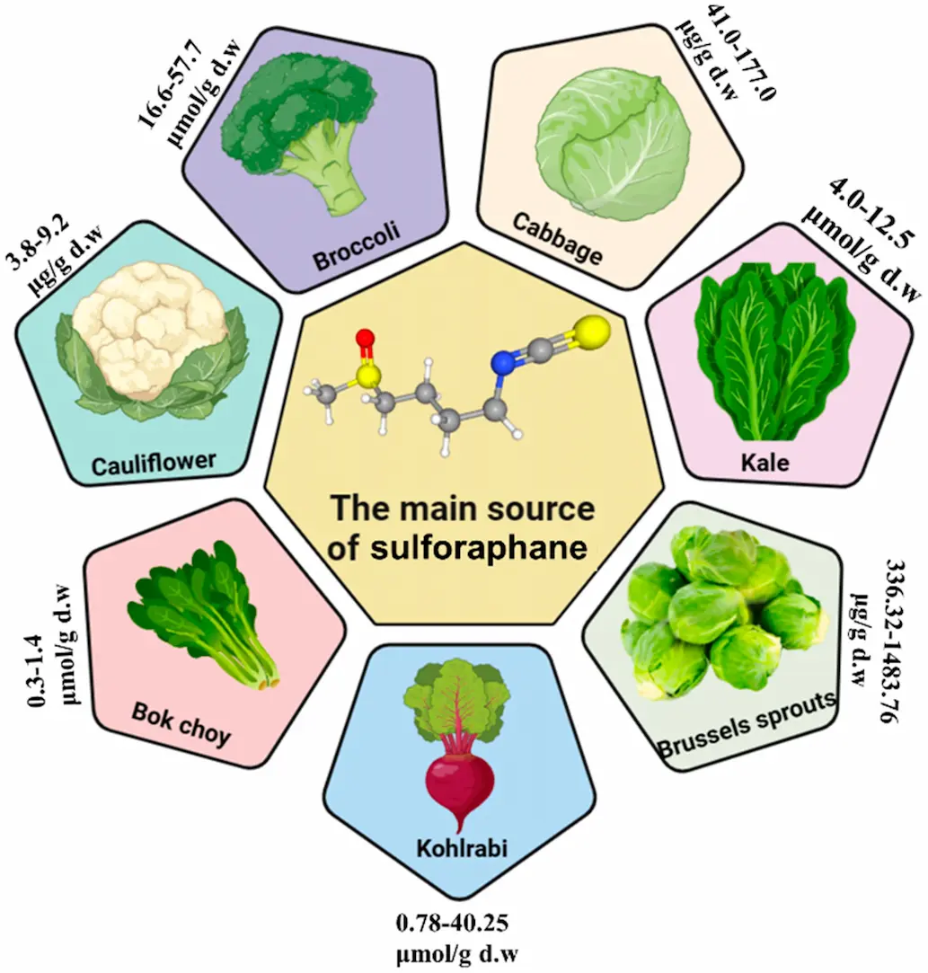 DL-Sulforaphane Sulforaphane Naturally Applications