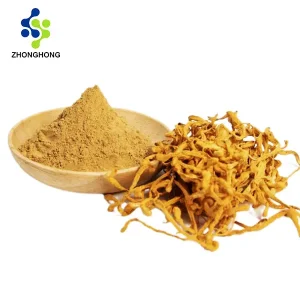 Cordyceps Militaris Cordycepin