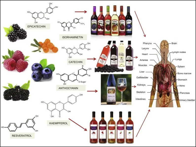 Beneficios para la salud del resveratrol de jaboticaba