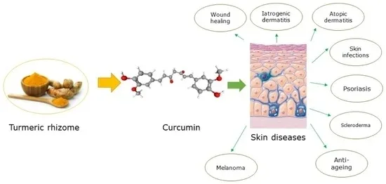 Turmeric Extract Applications Aiherbm