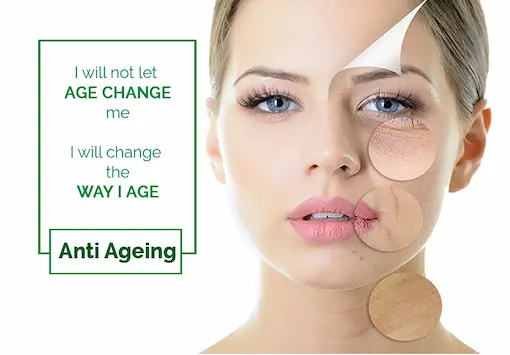 Organic Gotu Kola Extract Benefits | Anti‑Aging Ingredient for Skincare & Supplements 14 Centella Asiatica Madecassoside Benefits