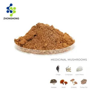Chinese Medicinal Mushrooms