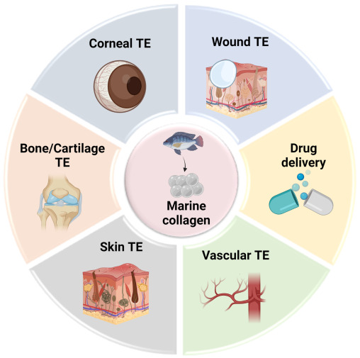 Pure Fish Collagen Benefits