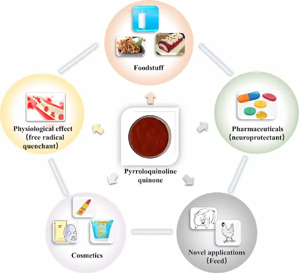 Pyrroloquinoline Quinone: Benefits, Uses & Supplements 3 Pyrroloquinoline Quinone Benefits