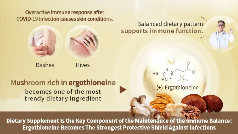 Ergothioneine: The Mitochondrial Guardian at the Forefront of Anti-Aging | Scientific Insights & Premium Selection 2 L-Ergothioneine Benefits