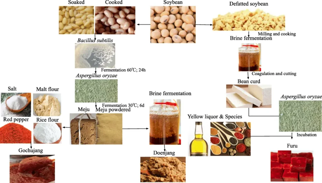 Soybean Extract: Your Ultimate Guide to Benefits, Types & Sourcing 5 Soybean-Extract Applications