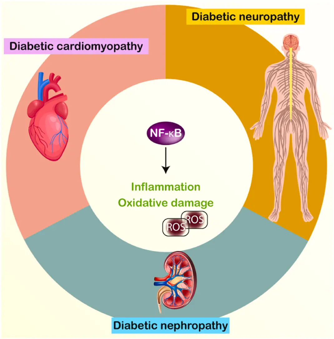Gentiopicroside: Benefits, Dosage, Effects and Safety Guide 2 Gentiopicroside Benefits Aiherba Zhonghong