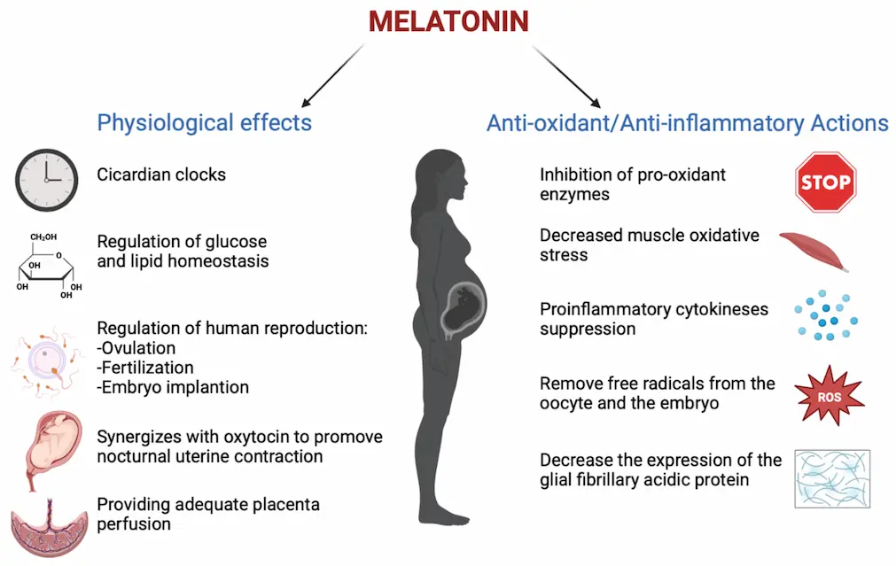 Melatonin Benefits
