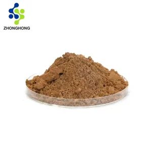 mushroom extract