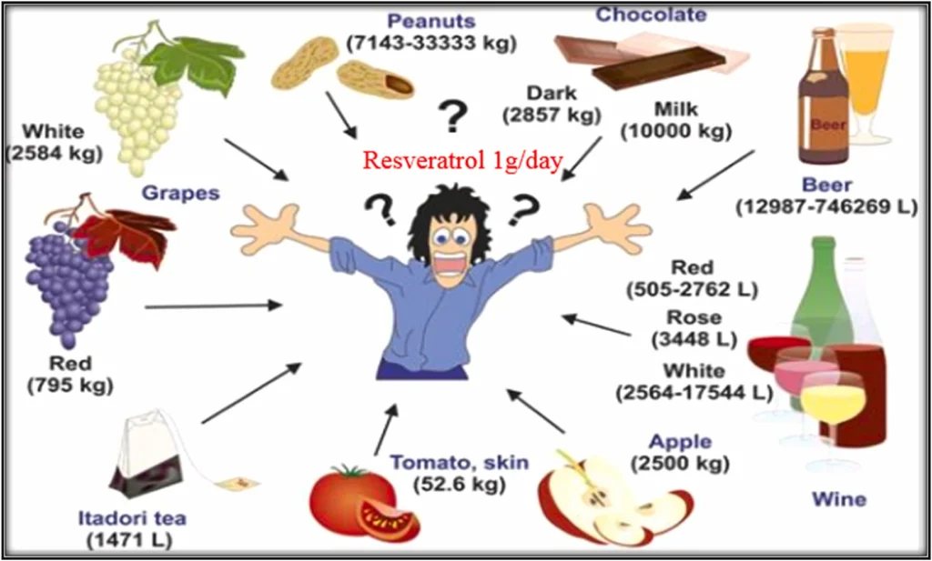 Effects Of Foods Containing Resveratrol