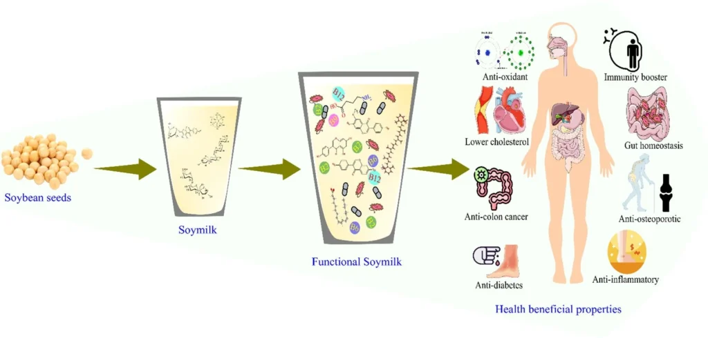 Soybean Extract: Your Ultimate Guide to Benefits, Types & Sourcing 3 Health Benefits Of Soybean Extract