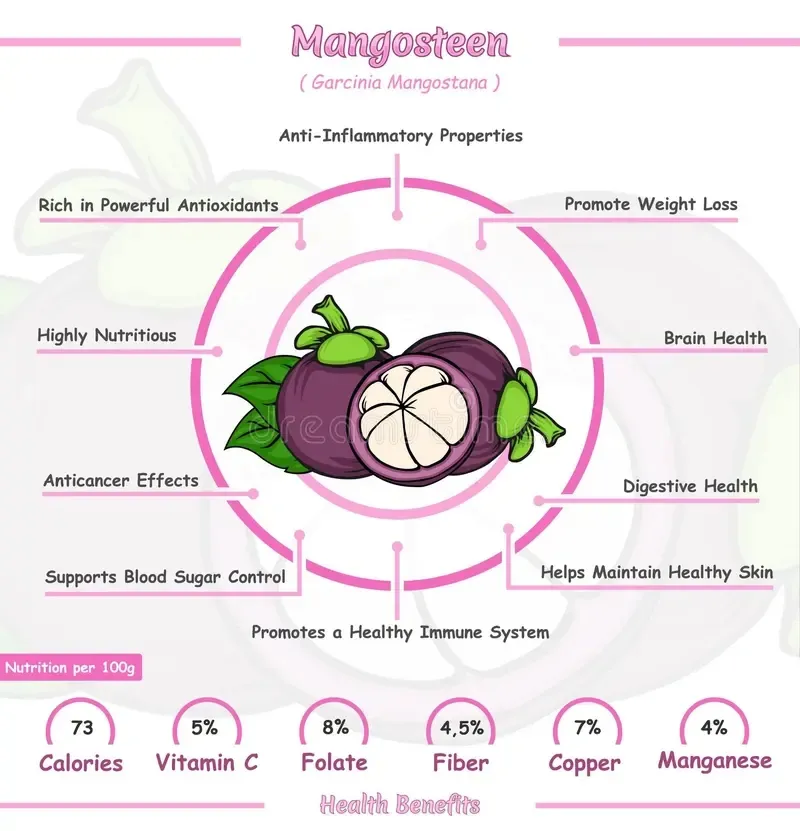 Mangosteen Extract: 7 Key Benefits, Dosage, and Factory Supply Options 2 Mangosteen Extract Benefits