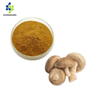 Shiitake Mushroom Extract Supplier | Bulk & Wholesale