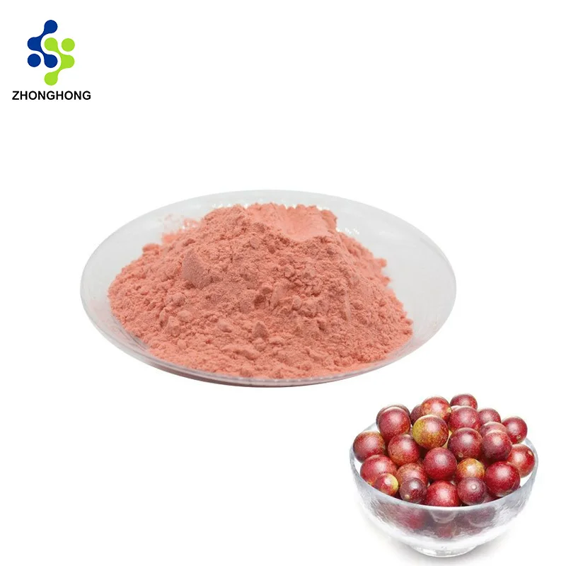 Bulk Camu Camu Extract Supplier | GMP Certified China 1 Bulk Camu Camu Extract Supplier | Gmp Certified China