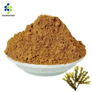 عصاره فوکوس وزیکولوسوس