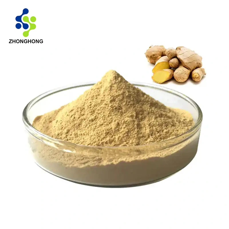 Gingerol Extract Supplier | GMP Manufacturer | Bulk Wholesale 1 Gingerol Extract