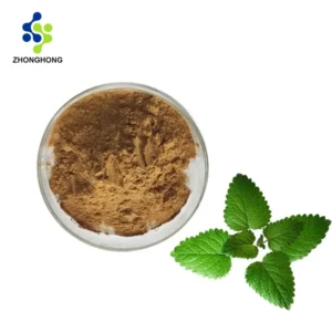 Premium Lemon Balm Extract Supplier & Manufacturer