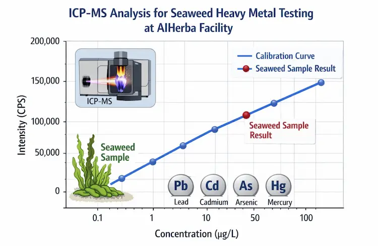 Sourcing Bulk Fucus Vesiculosus Extract: Heavy Metal & Iodine Limits 1 Inductively Coupled Plasma Mass Spectrometry Analysis For Seaweed Heavy Metal Testing At Aiherba Facility.