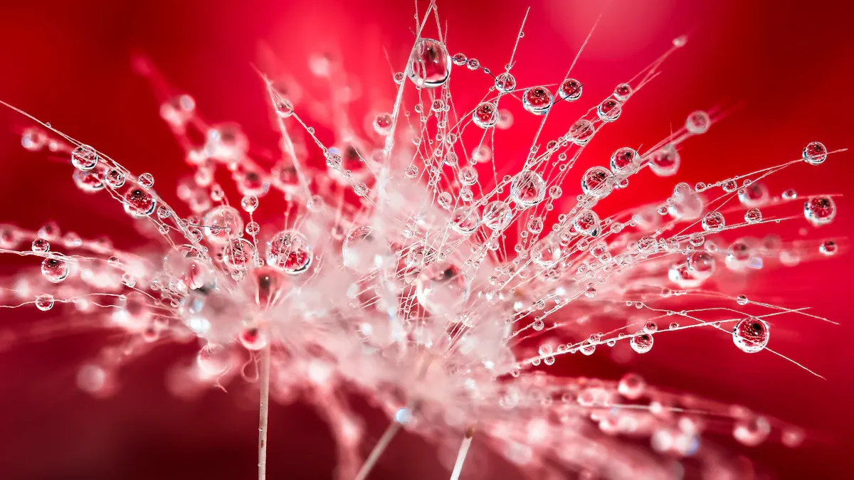 GMP-certified manufacturer and high-purity natural plant extracts 2 High-Purity Natural Plant Extracts