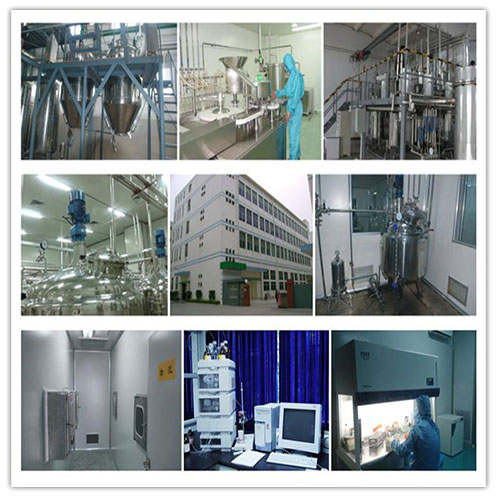 Our Factory – GMP Production, Advanced Extraction 4